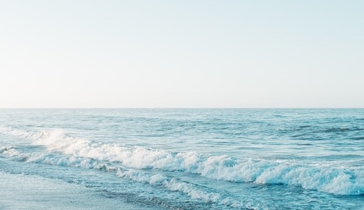 Minimal Phone買って1週間使ってみたよ【海外翻訳】